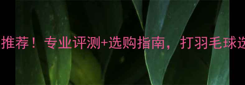 图片 爆款耐打飞行稳定羽毛球推荐！专业评测+选购指南，打羽毛球选对球才不伤手不费钱！2