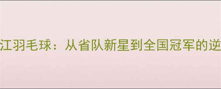 图片 王琳浙江羽毛球：从省队新星到全国冠军的逆袭之路