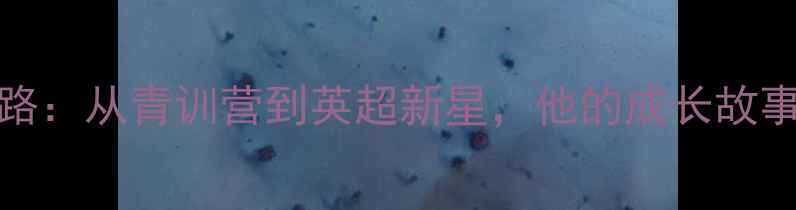图片 球员Sanson逆袭之路：从青训营到英超新星，他的成长故事激励了千万球迷！