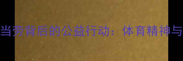 图片 球星集体请客麦当劳背后的公益行动：体育精神与商业合作的典范