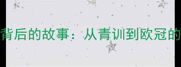 图片 球衣号码阿里7号背后的故事：从青训到欧冠的数据与荣耀！🔥2