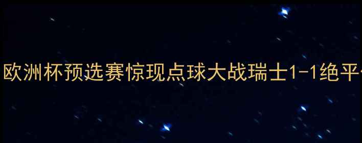 图片 瑞典vs瑞士：欧洲杯预选赛惊现点球大战瑞士1-1绝平保住出线希望