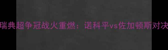 图片 瑞典超争冠战火重燃：诺科平vs佐加顿斯对决