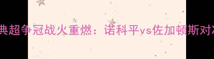 图片 瑞典超争冠战火重燃：诺科平vs佐加顿斯对决1