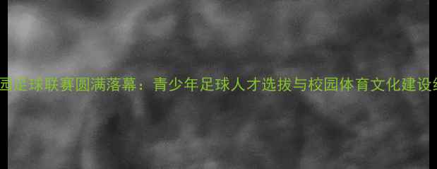 图片 省校园足球联赛圆满落幕：青少年足球人才选拔与校园体育文化建设纪实2
