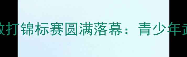 图片 第一届全国青少年散打锦标赛圆满落幕：青少年武术文化交流新标杆