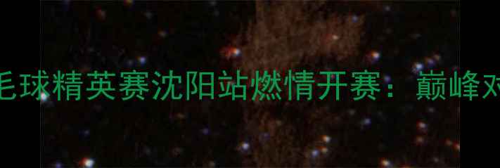 图片 红牛中国羽毛球精英赛沈阳站燃情开赛：巅峰对决点燃盛夏