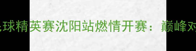 图片 红牛中国羽毛球精英赛沈阳站燃情开赛：巅峰对决点燃盛夏1