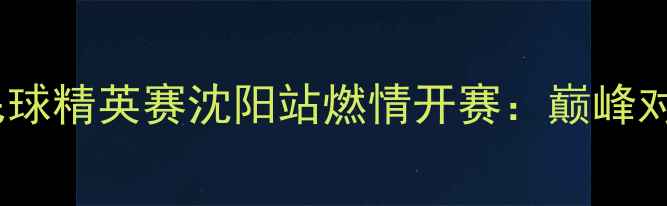 图片 红牛中国羽毛球精英赛沈阳站燃情开赛：巅峰对决点燃盛夏2