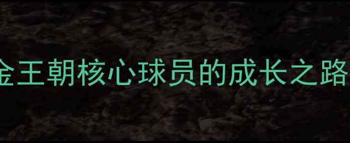 图片 约基奇：掘金王朝核心球员的成长之路与未来展望1