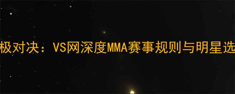 图片 综合格斗终极对决：VS网深度MMA赛事规则与明星选手实战技巧