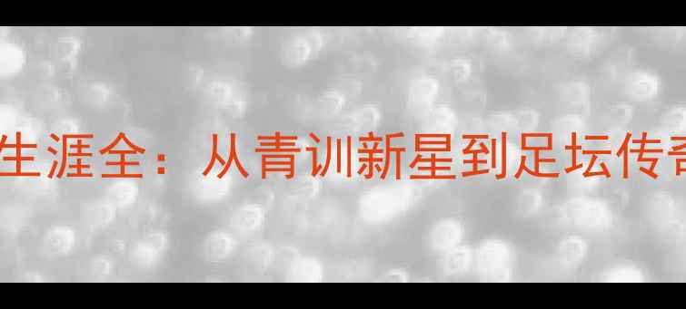 图片 罗梅罗球员职业生涯全：从青训新星到足坛传奇的技术与成就2