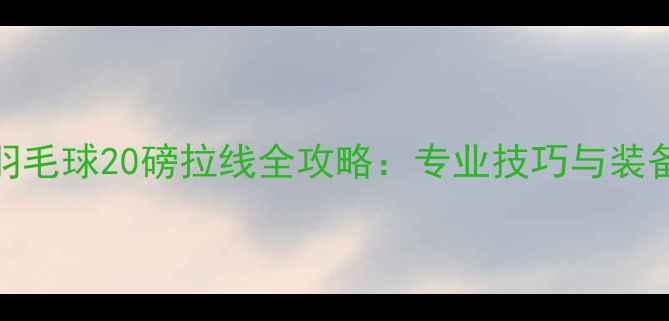 图片 羽毛球20磅拉线全攻略：专业技巧与装备