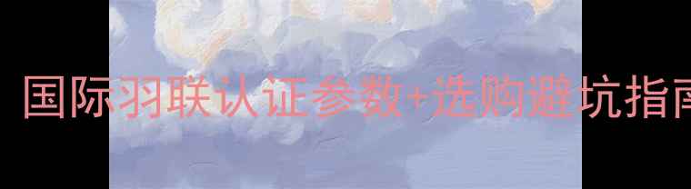 图片 羽毛球5号球标准｜国际羽联认证参数+选购避坑指南（附实测对比）2