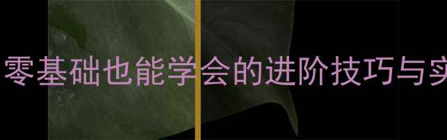 图片 羽毛球上网挑球步伐教学：零基础也能学会的进阶技巧与实战应用（附动作分解图）1