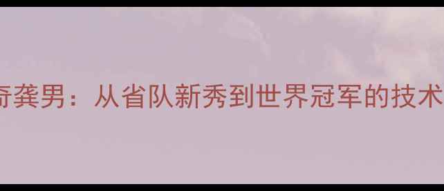 图片 羽毛球传奇龚男：从省队新秀到世界冠军的技术与训练全2