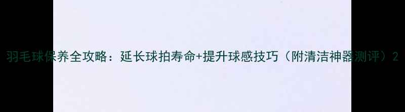 图片 羽毛球保养全攻略：延长球拍寿命+提升球感技巧（附清洁神器测评）2