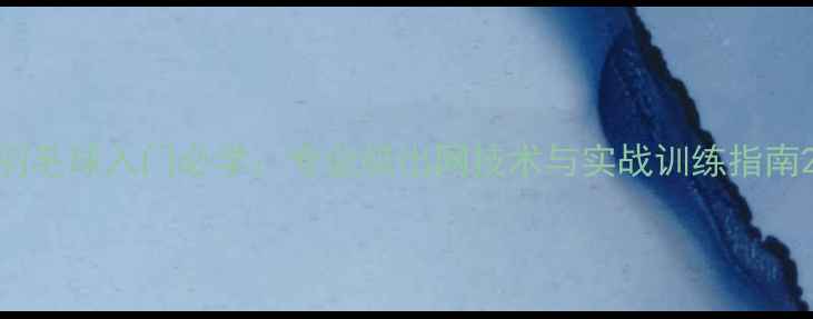 图片 羽毛球入门必学：专业级出网技术与实战训练指南2