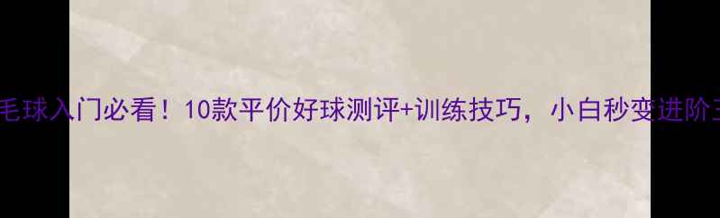 图片 羽毛球入门必看！10款平价好球测评+训练技巧，小白秒变进阶王2