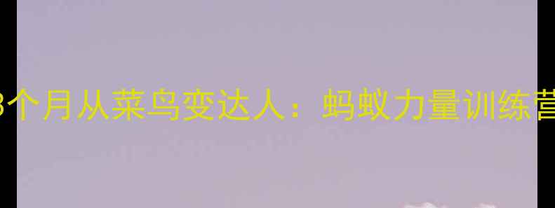 图片 羽毛球入门必看！零基础3个月从菜鸟变达人：蚂蚁力量训练营教你科学训练+趣味教学2