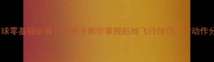 图片 羽毛球吊球零基础必看！手把手教你掌握贴地飞行技巧，附动作分解图解1