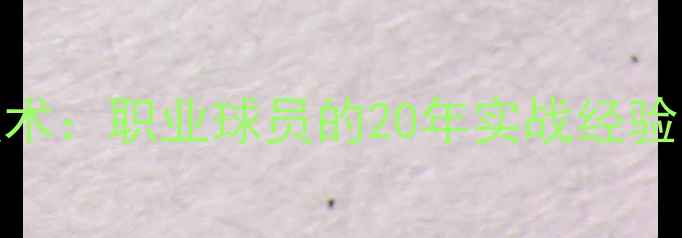 图片 羽毛球名将张楠技术：职业球员的20年实战经验与训练体系全公开