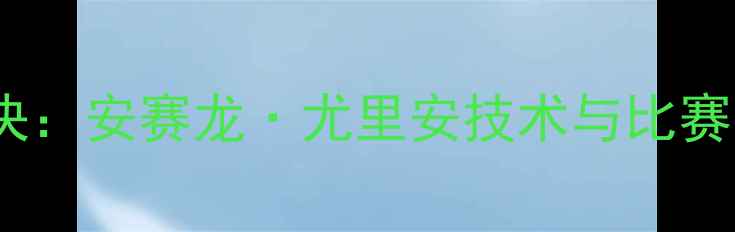 图片 羽毛球安塞龙经典对决：安赛龙·尤里安技术与比赛回顾（附高清视频）1