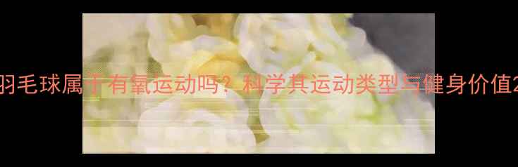 图片 羽毛球属于有氧运动吗？科学其运动类型与健身价值2