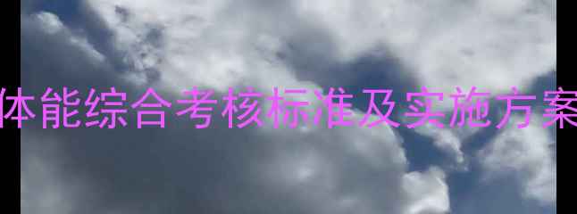 图片 羽毛球技能与体能综合考核标准及实施方案（附评分表）