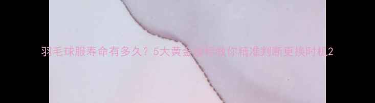 图片 羽毛球服寿命有多久？5大黄金指标教你精准判断更换时机2