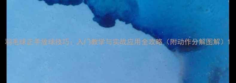 图片 羽毛球正手放球技巧：入门教学与实战应用全攻略（附动作分解图解）1
