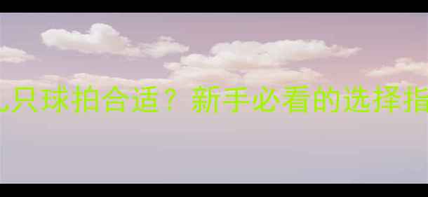 图片 羽毛球比赛带几只球拍合适？新手必看的选择指南与携带技巧2
