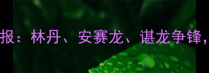 图片 羽毛球男单最新世界排名战报：林丹、安赛龙、谌龙争锋，李宗伟历史地位再定乾坤2