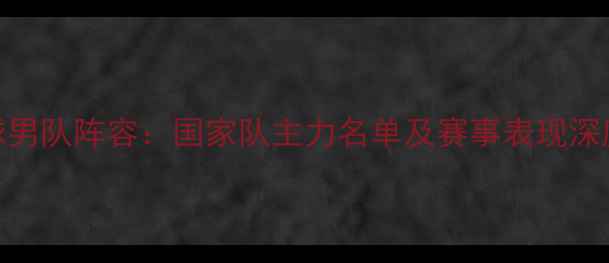 图片 羽毛球男队阵容：国家队主力名单及赛事表现深度分析