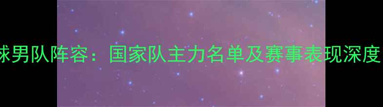 图片 羽毛球男队阵容：国家队主力名单及赛事表现深度分析2