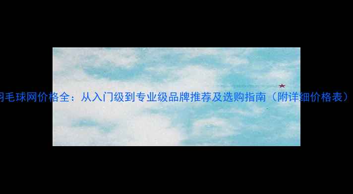 图片 羽毛球网价格全：从入门级到专业级品牌推荐及选购指南（附详细价格表）1