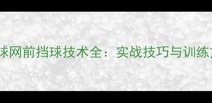 图片 羽毛球网前挡球技术全：实战技巧与训练方法1