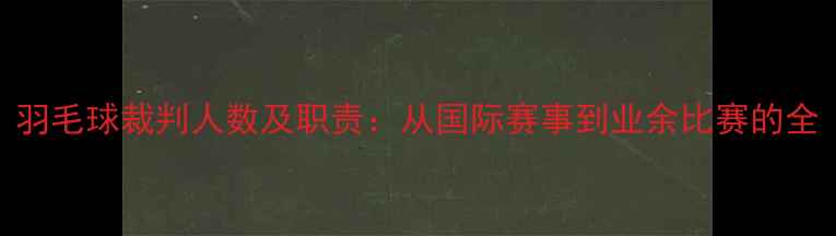 图片 羽毛球裁判人数及职责：从国际赛事到业余比赛的全