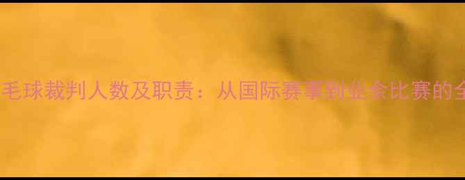图片 羽毛球裁判人数及职责：从国际赛事到业余比赛的全1