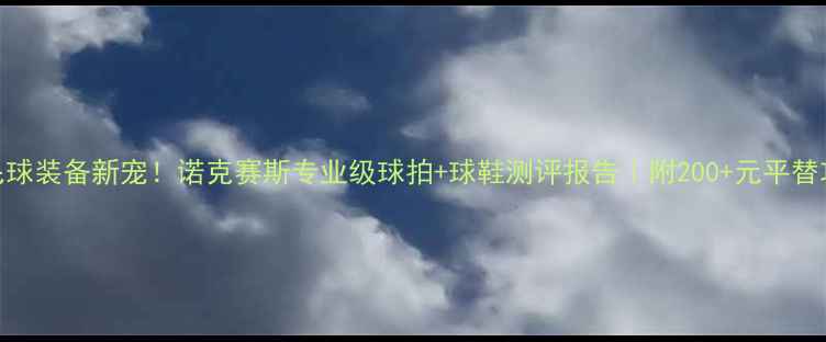 图片 羽毛球装备新宠！诺克赛斯专业级球拍+球鞋测评报告｜附200+元平替攻略