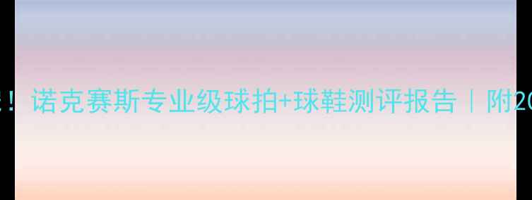 图片 羽毛球装备新宠！诺克赛斯专业级球拍+球鞋测评报告｜附200+元平替攻略1