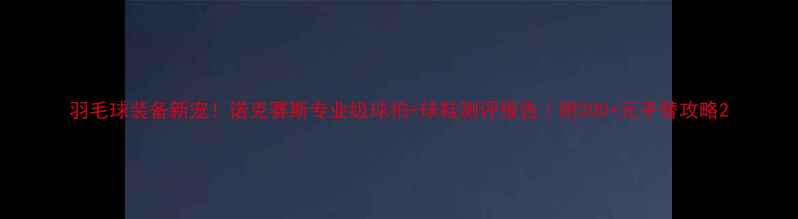 图片 羽毛球装备新宠！诺克赛斯专业级球拍+球鞋测评报告｜附200+元平替攻略2