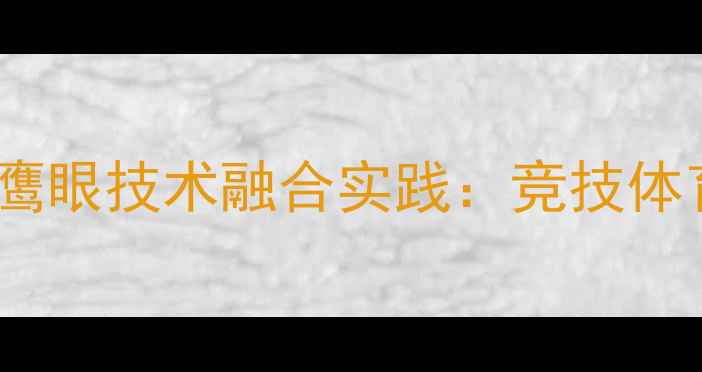 图片 羽毛球规则与鹰眼技术融合实践：竞技体育科技革命全1
