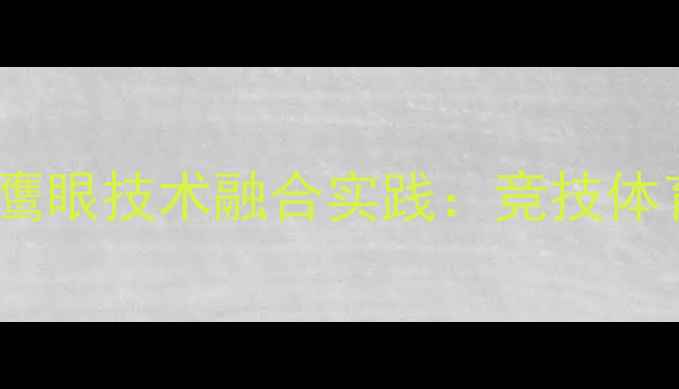 图片 羽毛球规则与鹰眼技术融合实践：竞技体育科技革命全2
