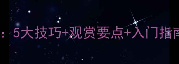 图片 羽毛球赏析全攻略：5大技巧+观赏要点+入门指南（附训练建议）1