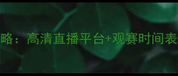 图片 羽毛球赛事全攻略：高清直播平台+观赛时间表+装备选购指南1