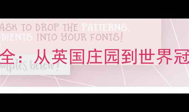 图片 羽毛球起源与发展全：从英国庄园到世界冠军的百年运动史话