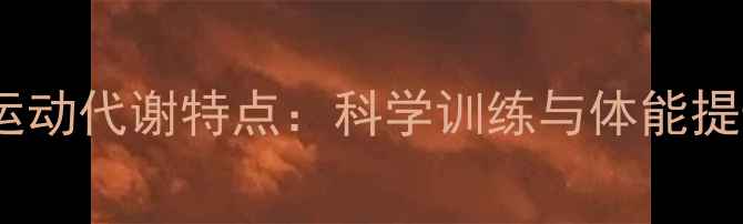 图片 羽毛球运动代谢特点：科学训练与体能提升指南1