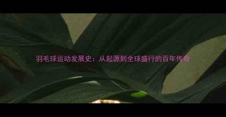 图片 羽毛球运动发展史：从起源到全球盛行的百年传奇