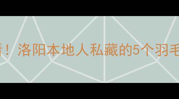 图片 羽毛球零基础入门必看！洛阳本地人私藏的5个羽毛球场馆+免费教学攻略